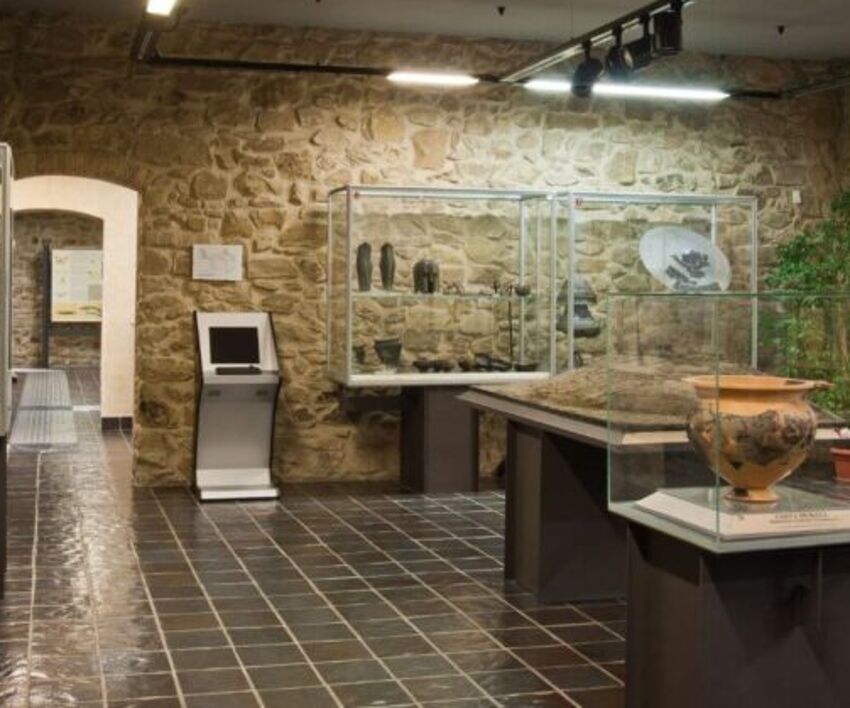 Il museo Vetulonia